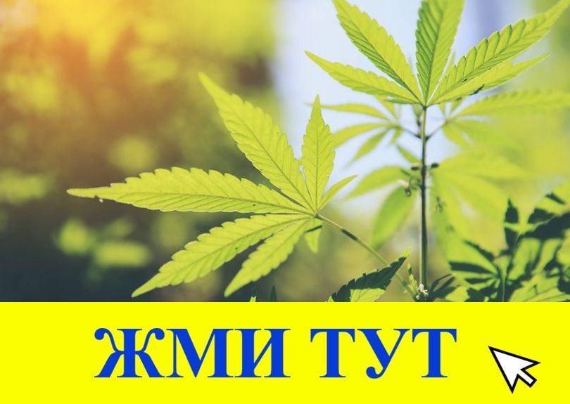 Купить наркотики в Тавде